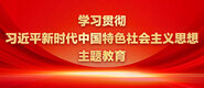 美女被艹视频网站学习贯彻习近平新时代中国特色社会主义思想主题教育_fororder_ad-371X160(2)